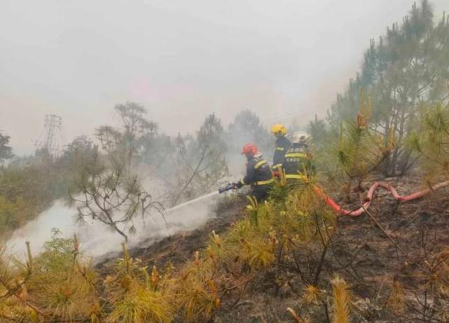 众擎易举 鏖战江川 珠源“火焰蓝”声援扑救 “4•11”玉溪江川丛林火警战记
