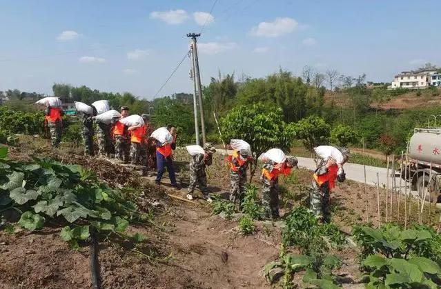 江安县铁清镇构造展开2023年防汛抢险应急练习训练