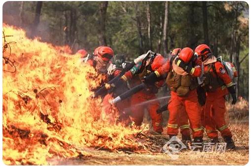 掩护丛林资本宁静，修建生态丽江
